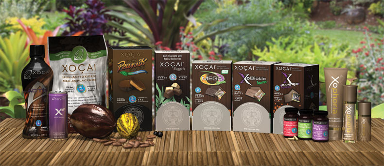 dark chocolate helps prevent memory loss